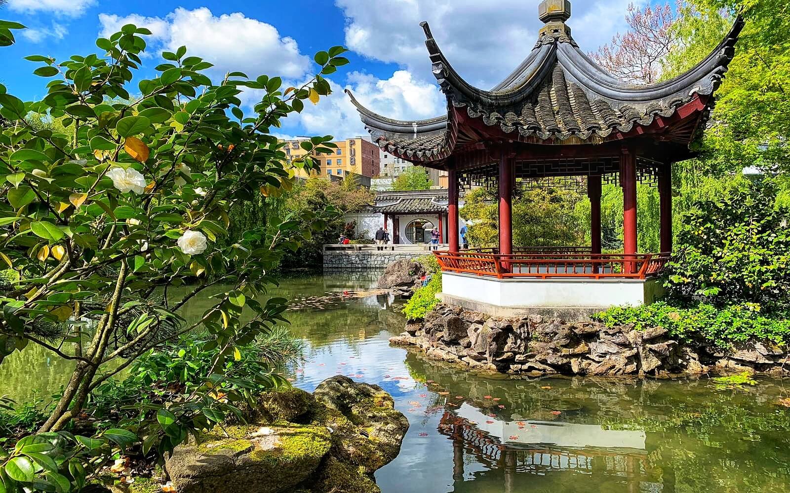  Chinatown Food & Culture Tour